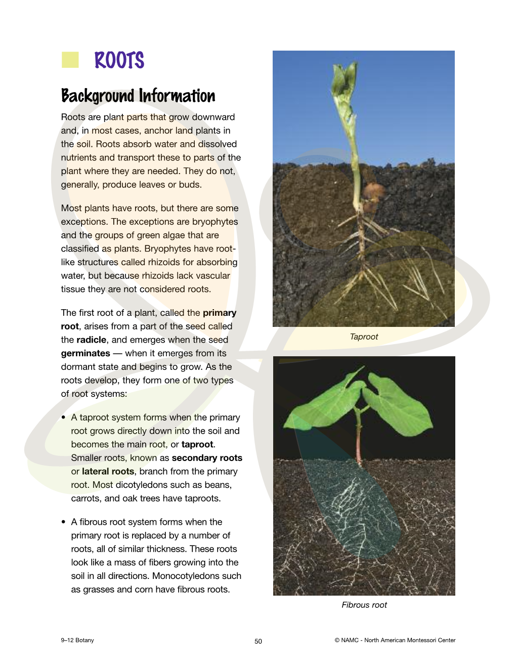 UE Botany.Index