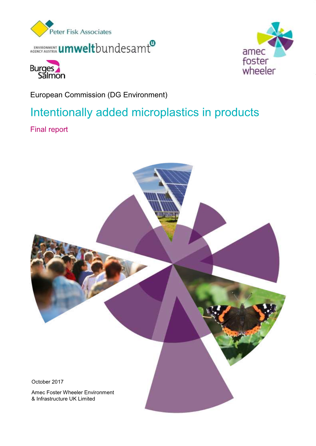Intentionally Added Microplastics in Products Final Report