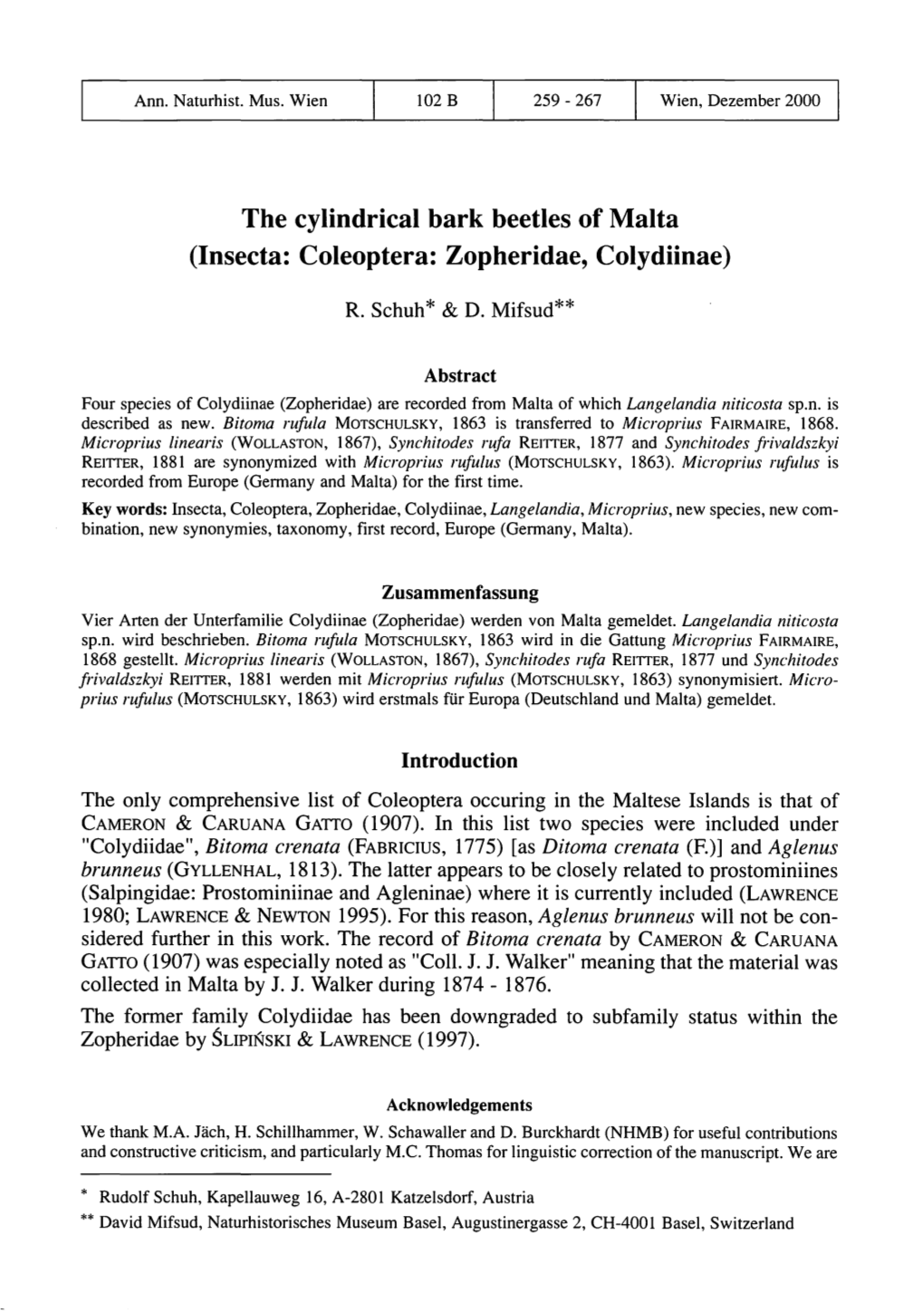 The Cylindrical Bark Beetles of Malta (Insecta: Coleoptera: Zopheridae, Colydiinae)