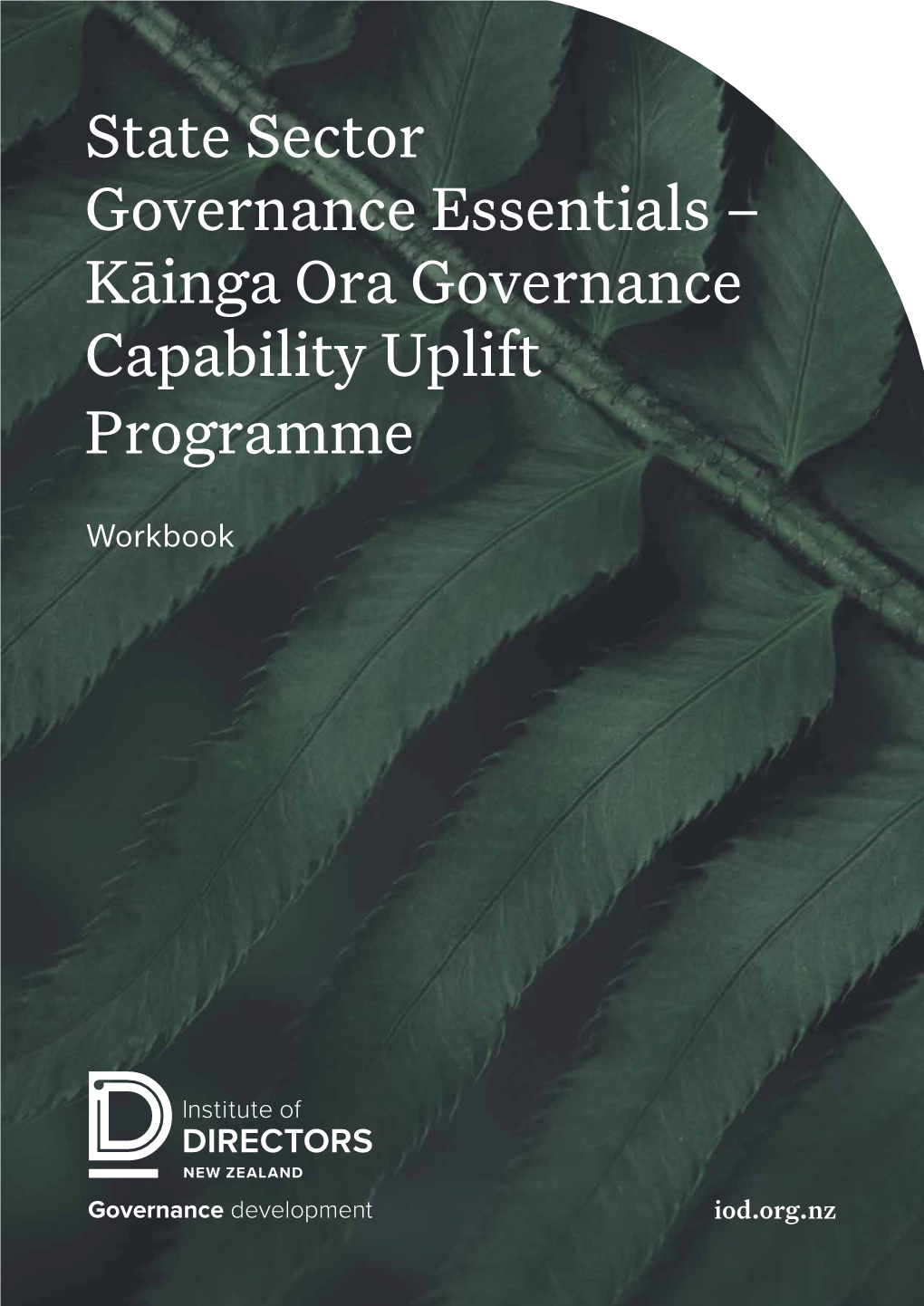 Kāinga Ora Governance Capability Uplift Programme