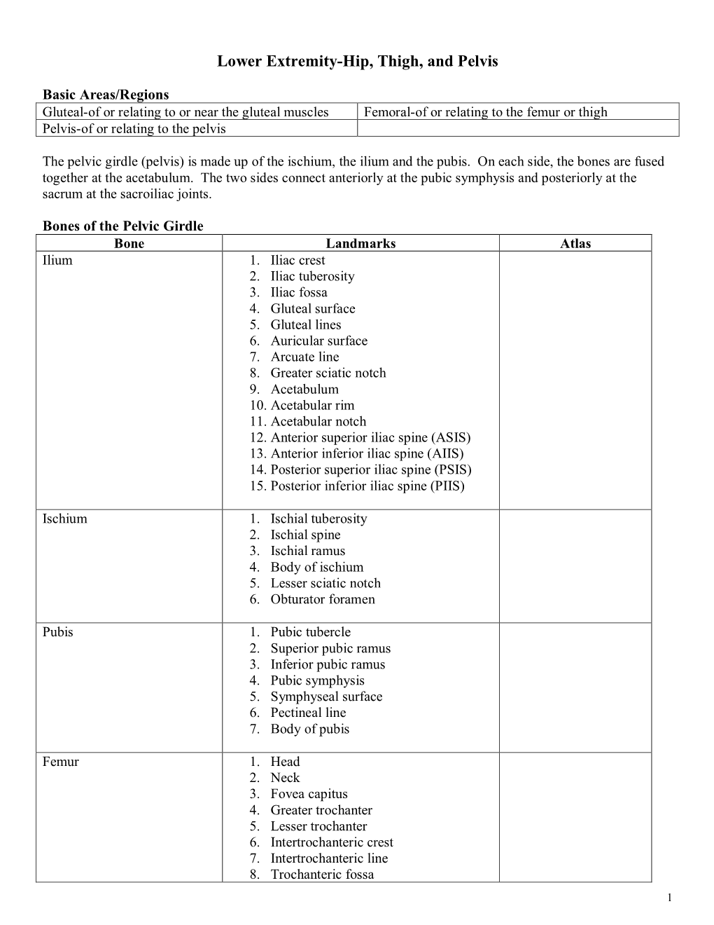 Lower Extremity-Hip, Thigh, and Pelvis