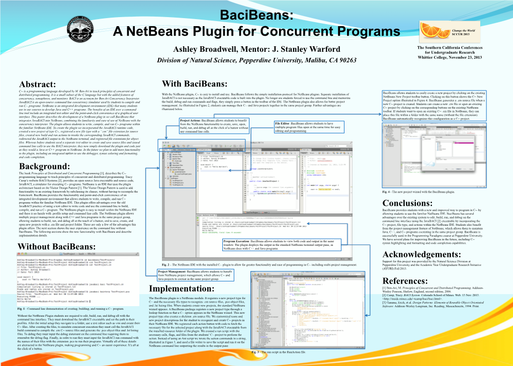 A Netbeans Plugin for Concurrent Programs SCCUR 2013