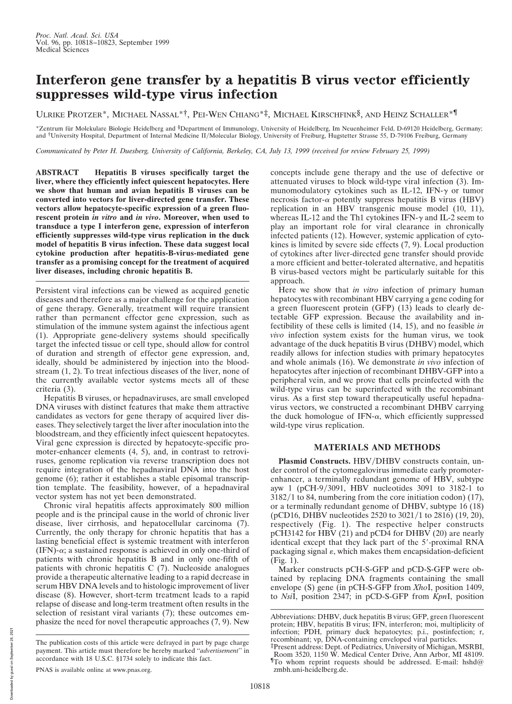 Interferon Gene Transfer by a Hepatitis B Virus Vector Efficiently Suppresses Wild-Type Virus Infection