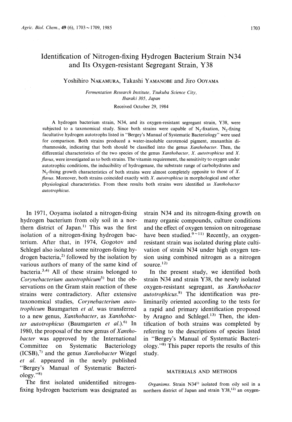 Identification of Nitrogen-Fixing Hydrogen Bacterium Strain N34 and Its Oxygen-Resistant Segregant Strain