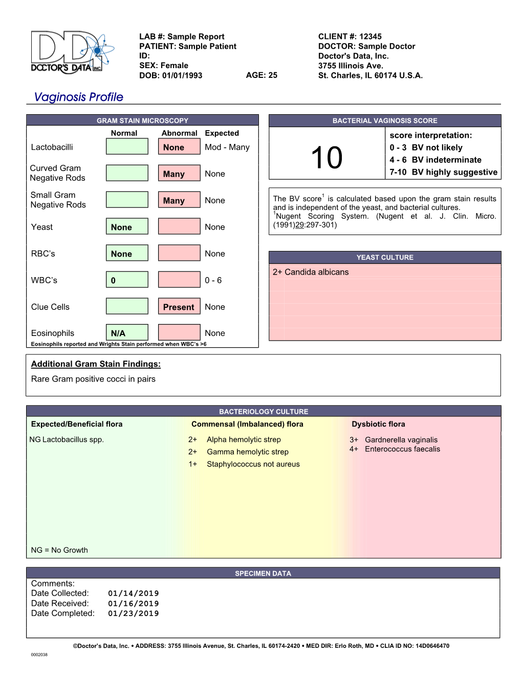 Sample Report Vaginosis.Pdf