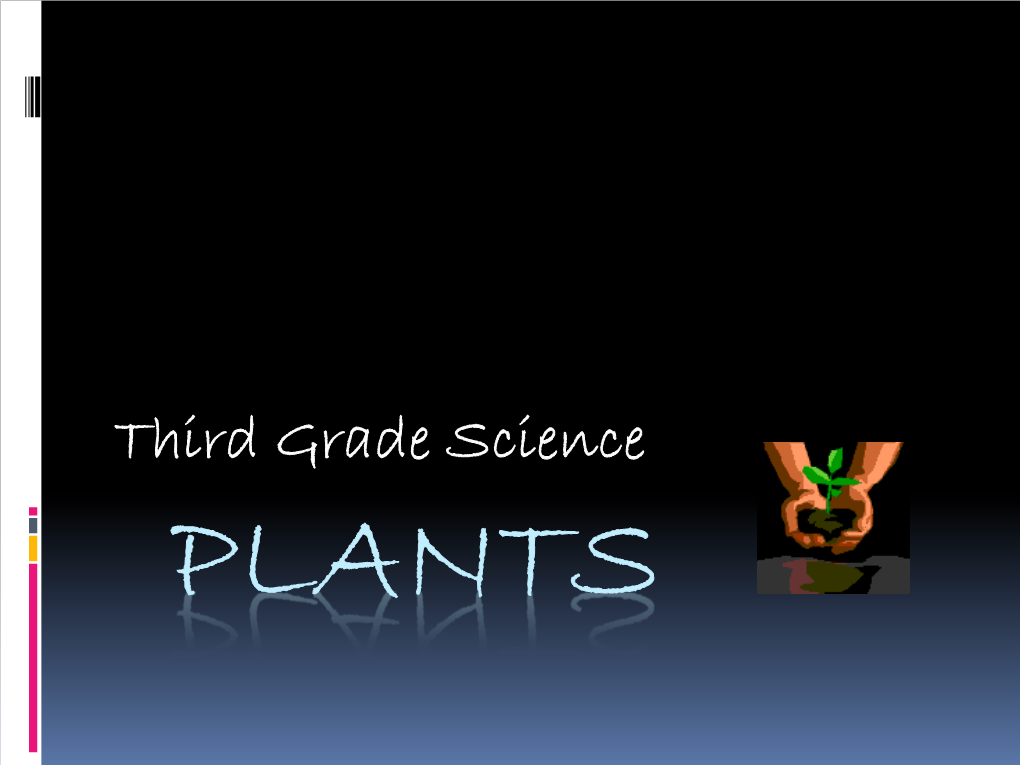 Third Grade Science PLANTS