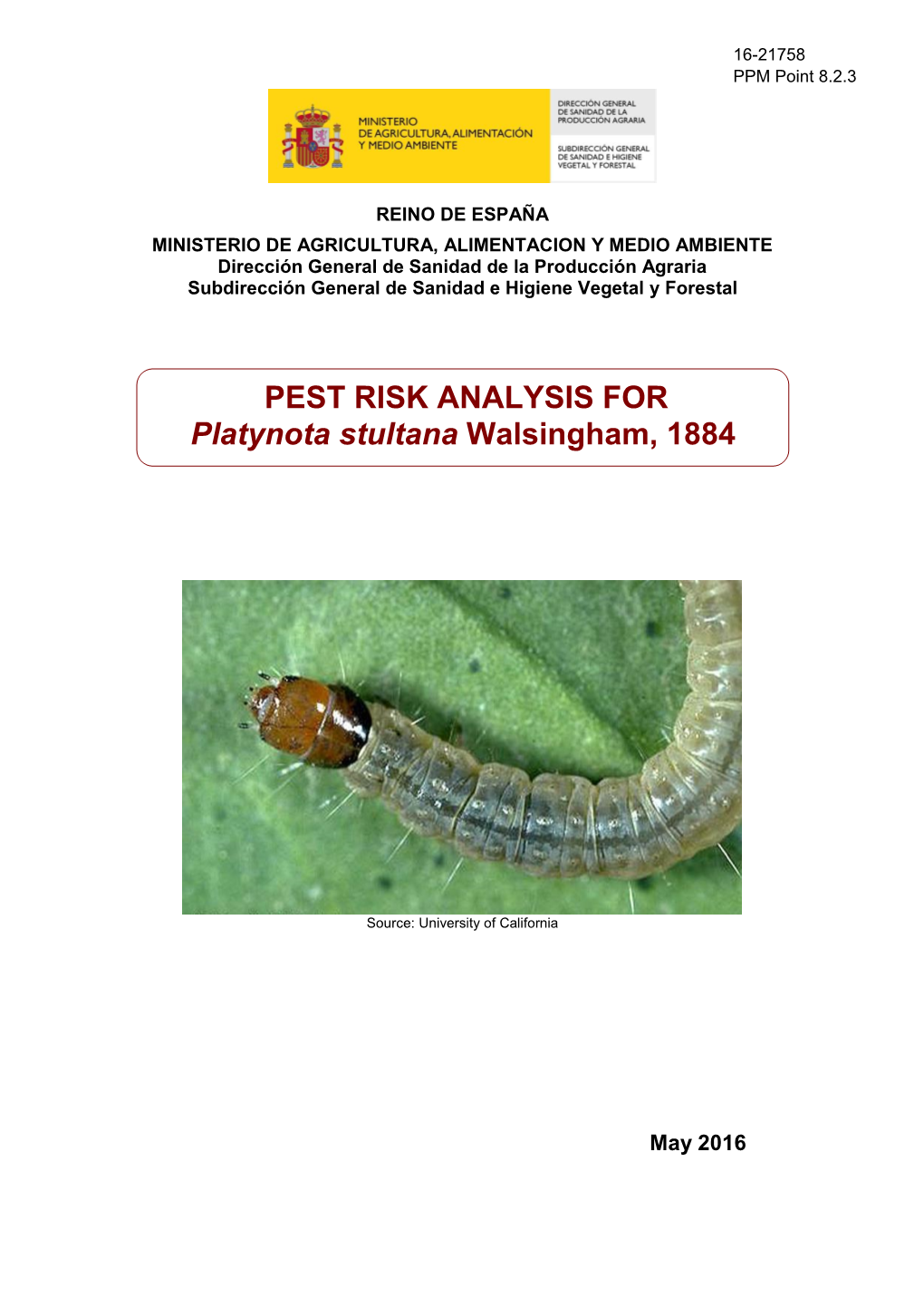 PEST RISK ANALYSIS for Platynota Stultana Walsingham, 1884