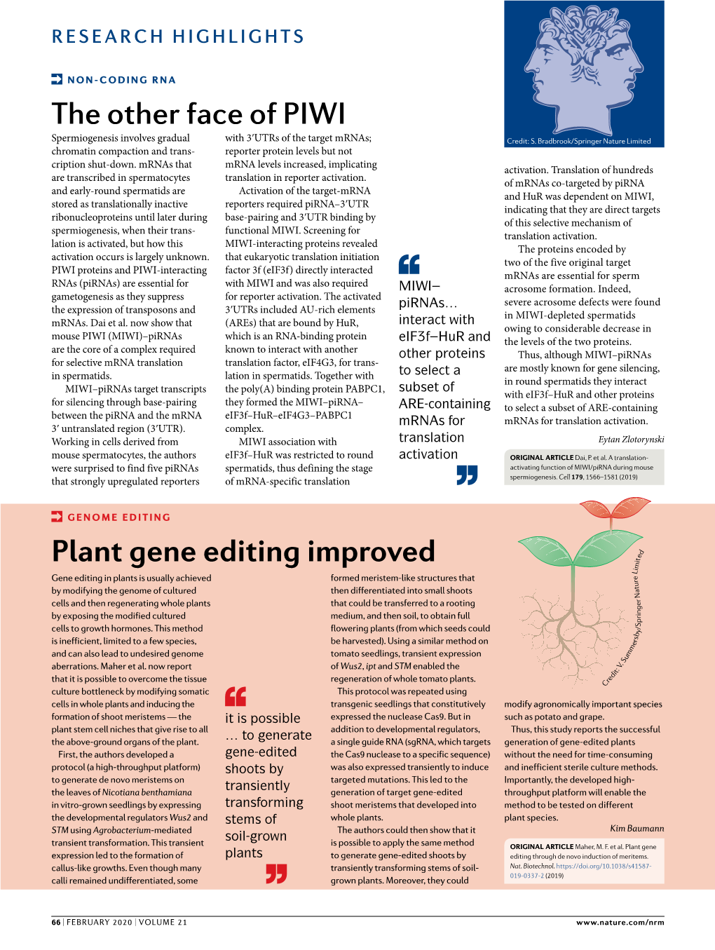 The Other Face of Piwi Plant Gene Editing Improved