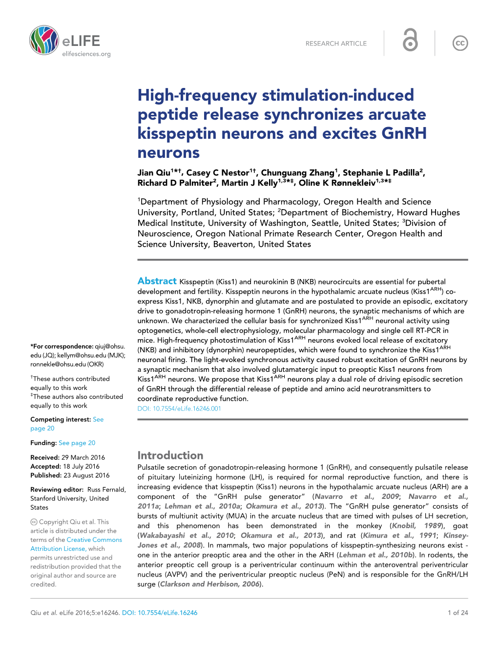 High-Frequency Stimulation-Induced Peptide Release Synchronizes