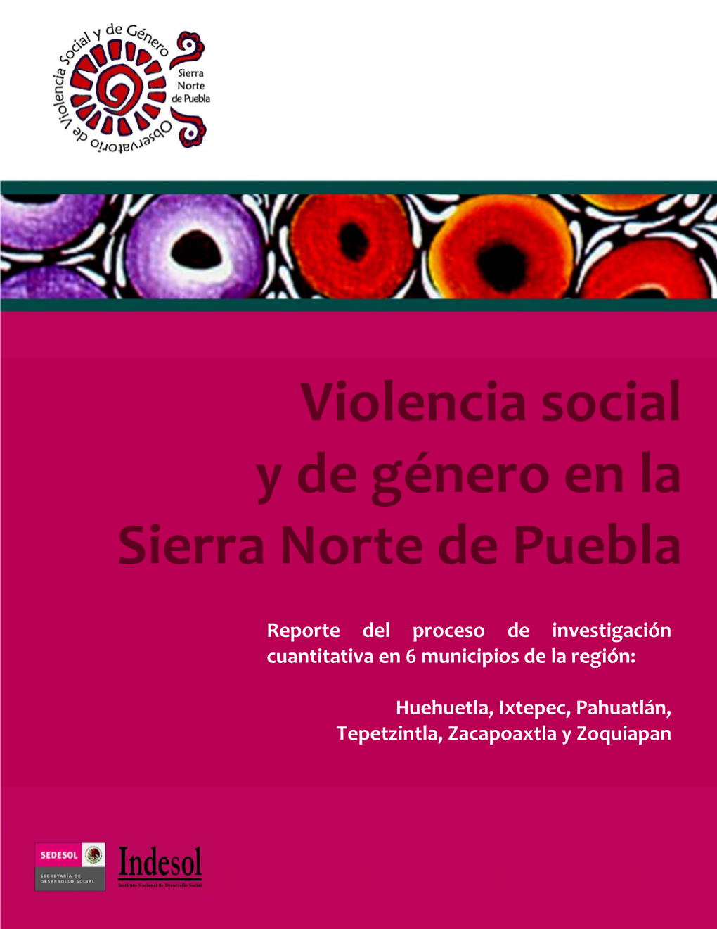 Violencia Social Y De Género En La Sierra Norte De Puebla Violencia