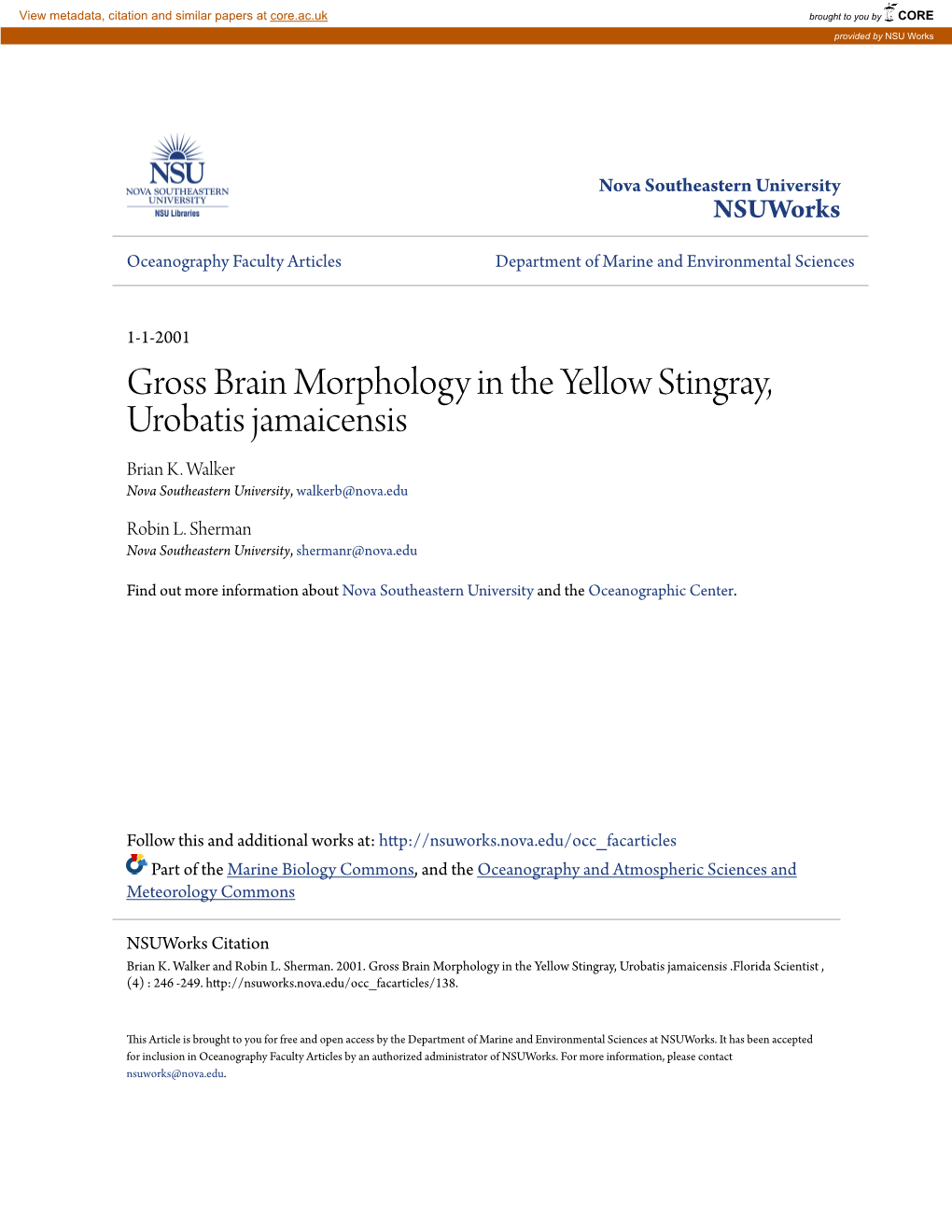 Gross Brain Morphology in the Yellow Stingray, Urobatis Jamaicensis Brian K