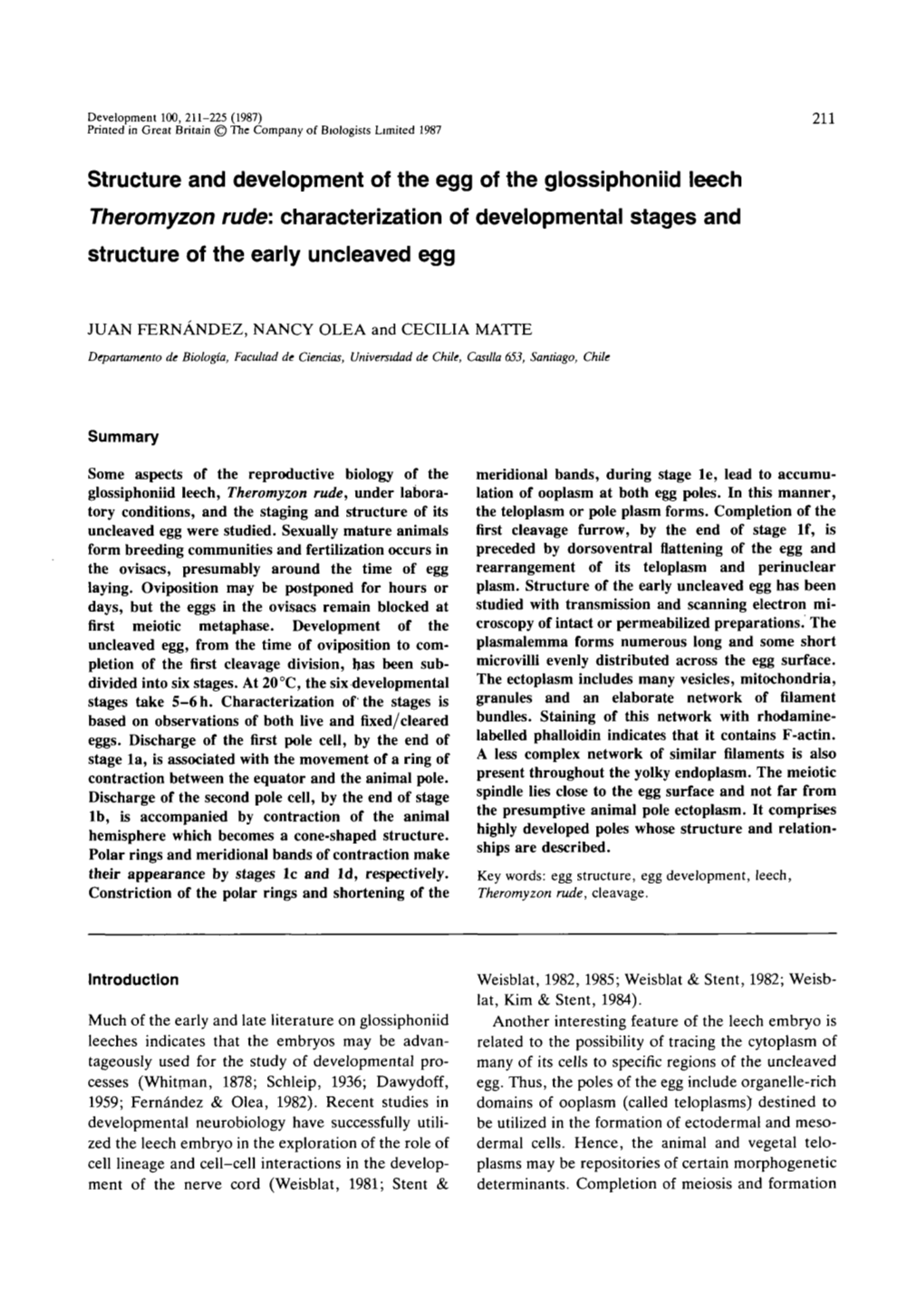 Structure and Development of the Egg of the Glossiphoniid Leech Theromyzon Rude: Characterization of Developmental Stages and Structure of the Early Uncleaved Egg