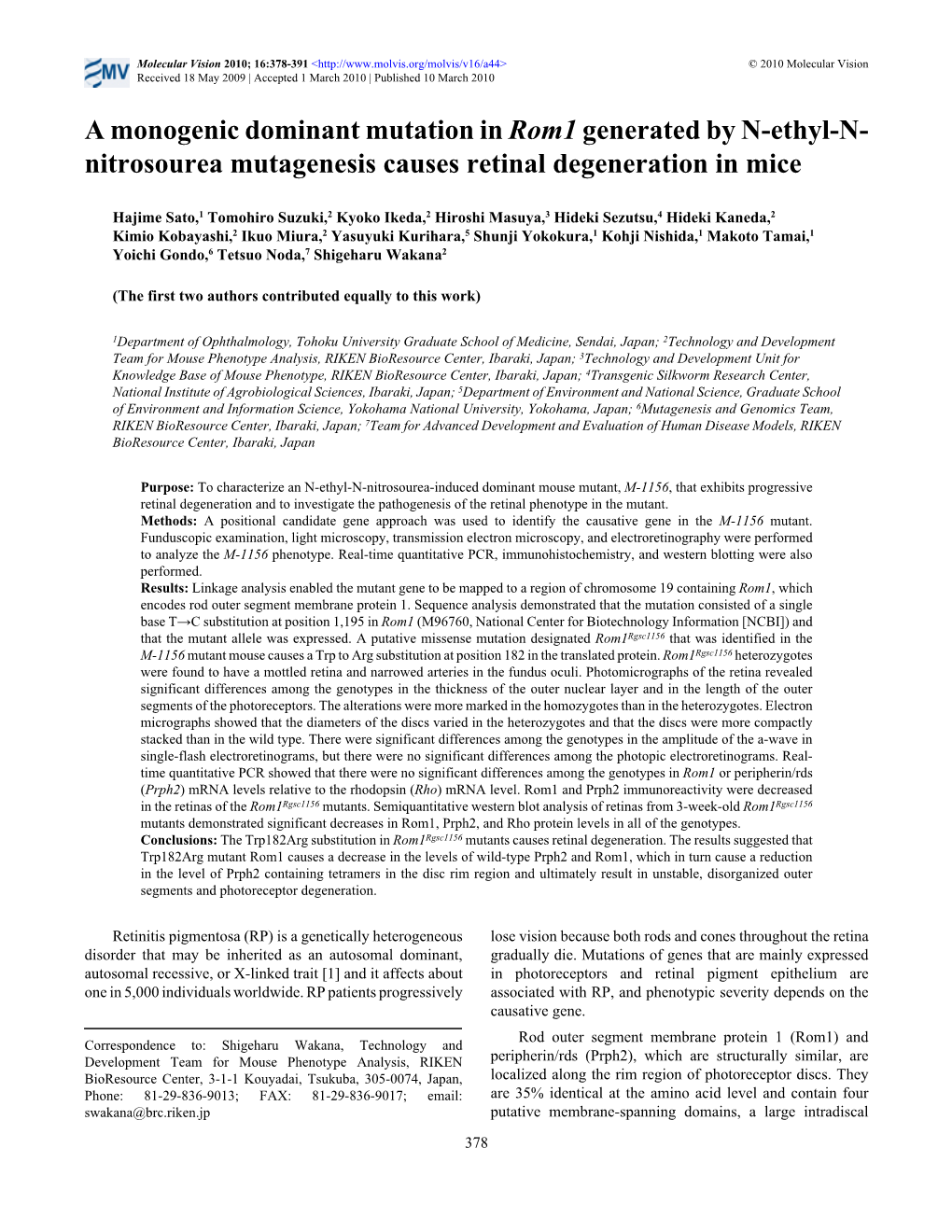 Nitrosourea Mutagenesis Causes Retinal Degeneration in Mice