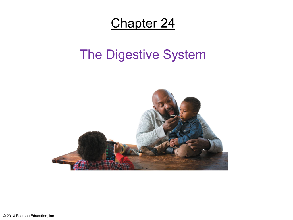 Chapter 24 Lecture Presentation
