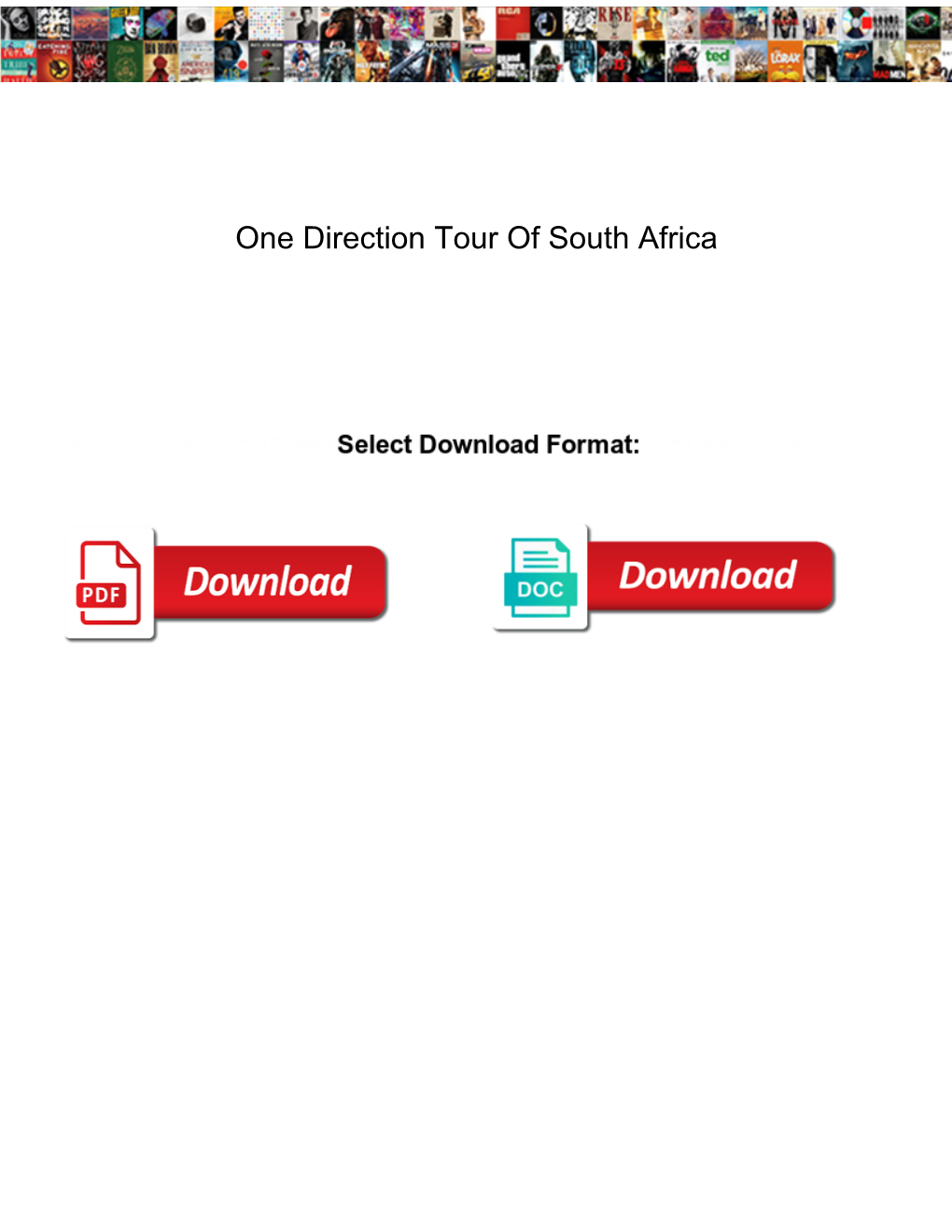 One Direction Tour of South Africa