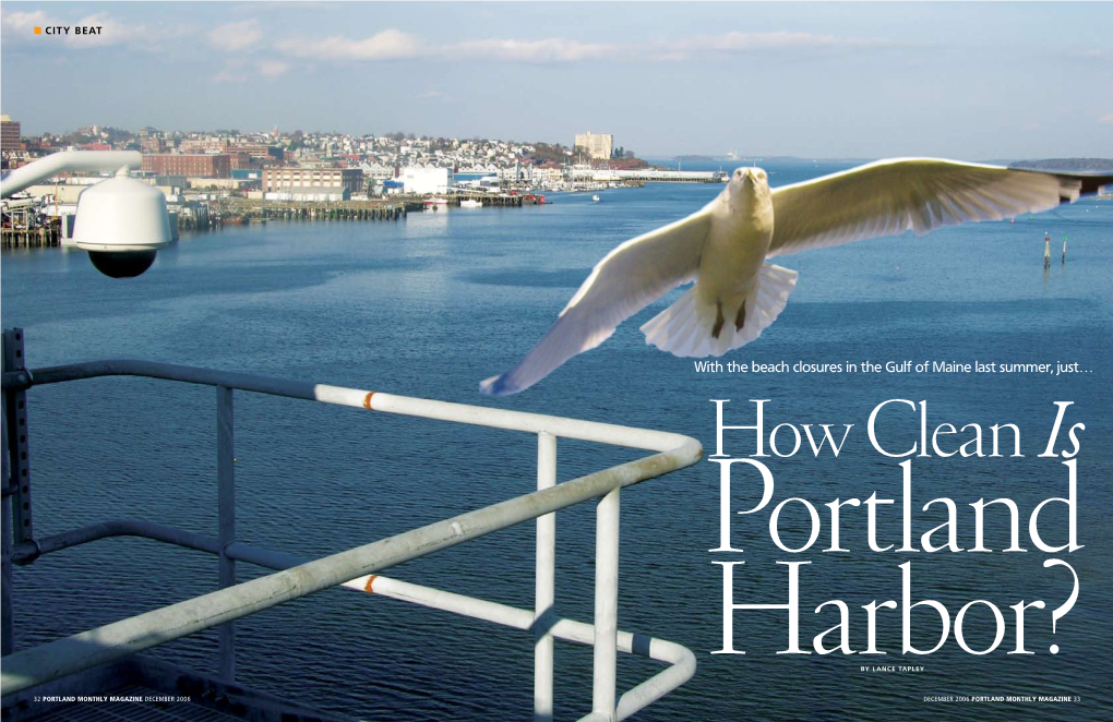 How Clean Is Portland Harbor?