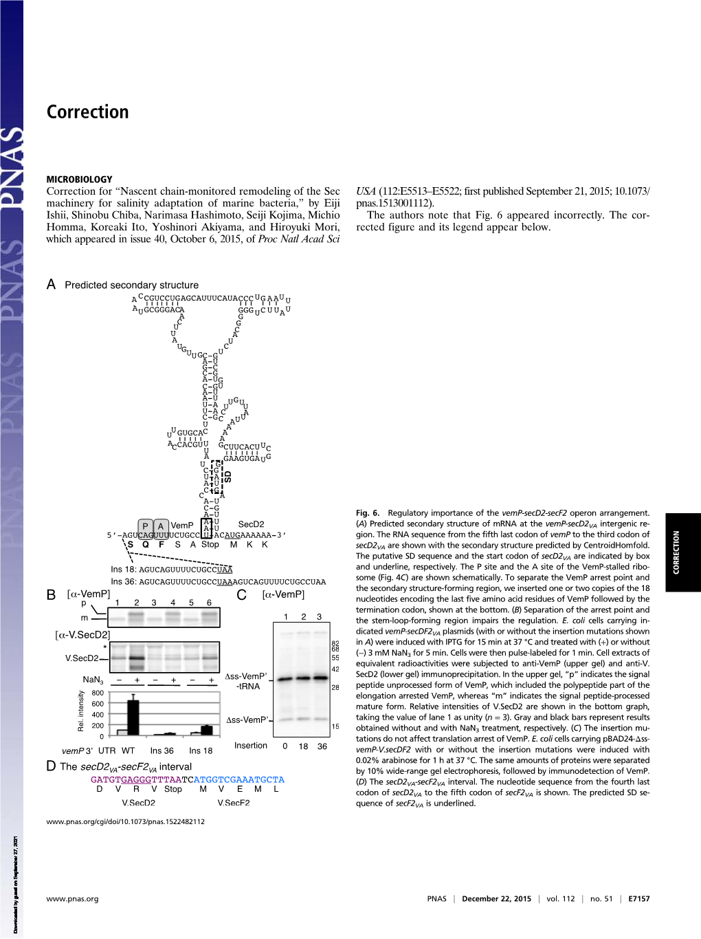 Nascent Chain-Monitored Remodeling of the Sec Machinery for Salinity