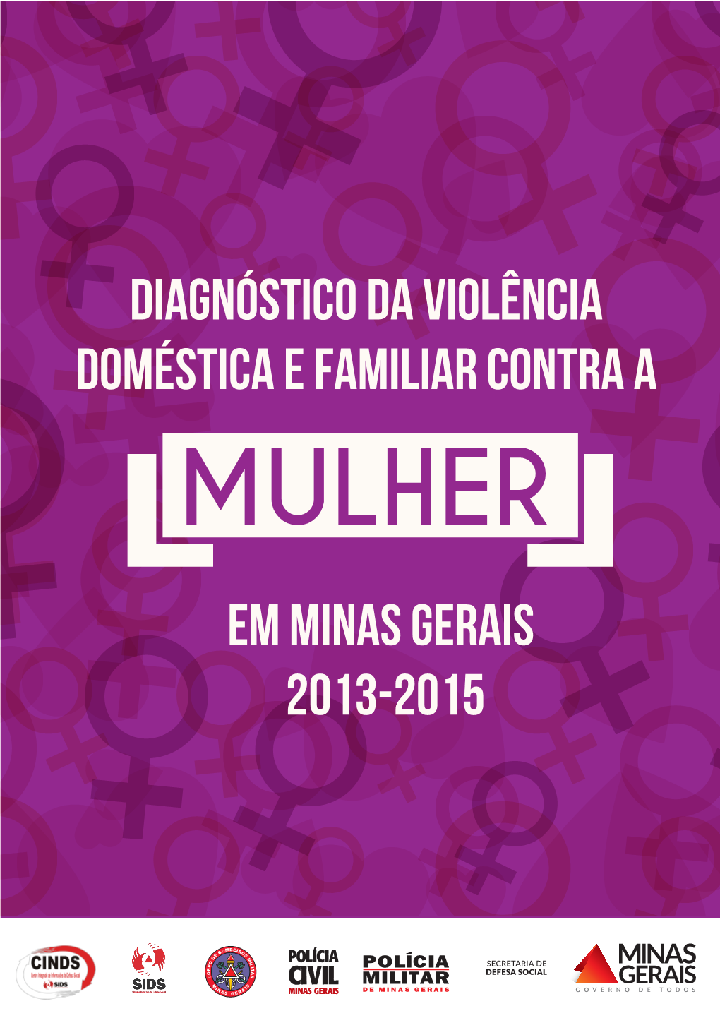 Diagnóstico Da Violência Doméstica E Familiar Contra a Em Minas Gerais