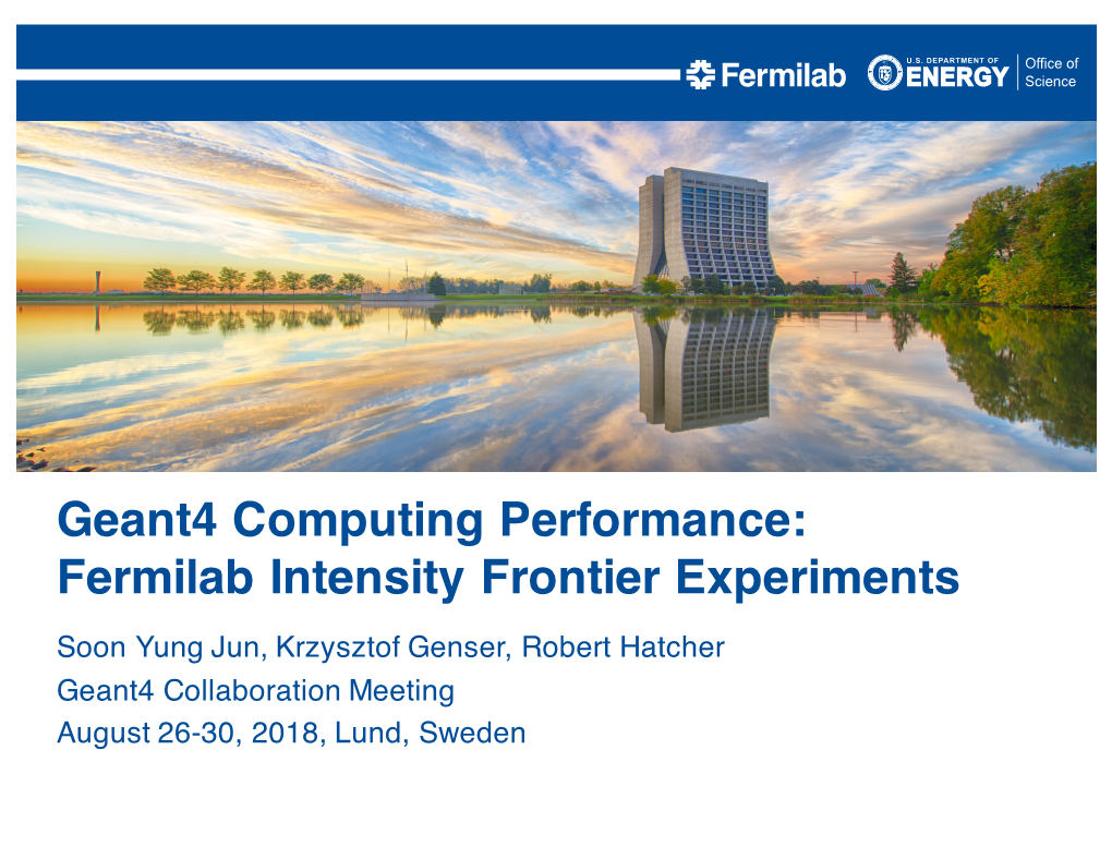 Geant4 Computing Performance: Fermilab Intensity Frontier Experiments