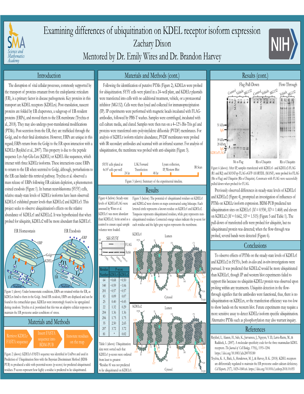 Examining Differences of Ubiquitination on KDEL Receptor Isoform Expression Zachary Dixon Mentored by Dr