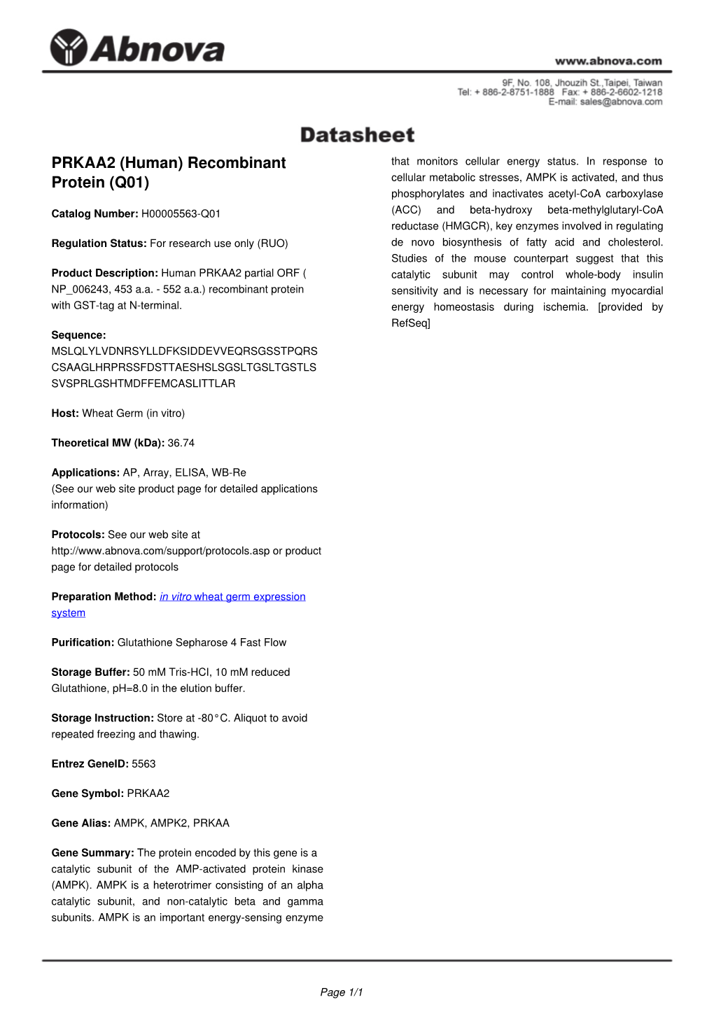 PRKAA2 (Human) Recombinant Protein (Q01)