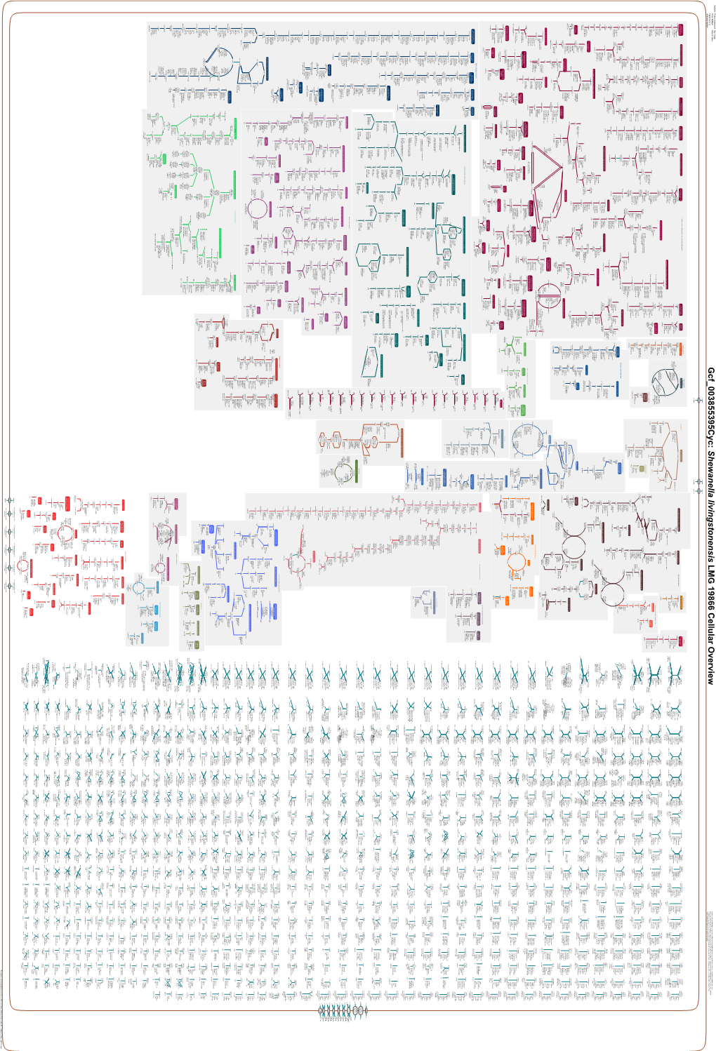 Generate Metabolic Map Poster