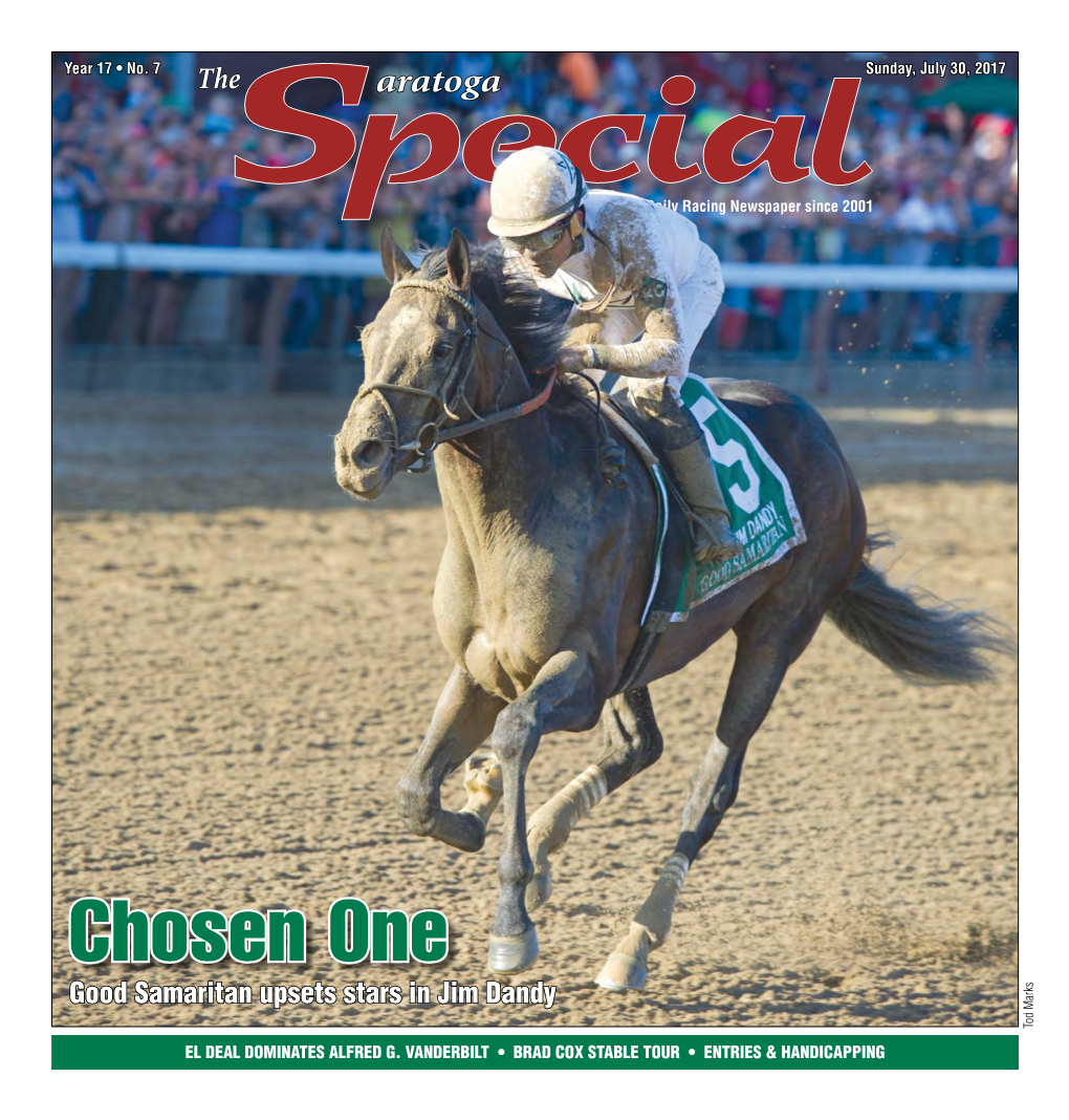 Chosen One Good Samaritan Upsets Stars in Jim Dandy Tod Marks Tod EL DEAL DOMINATES ALFRED G