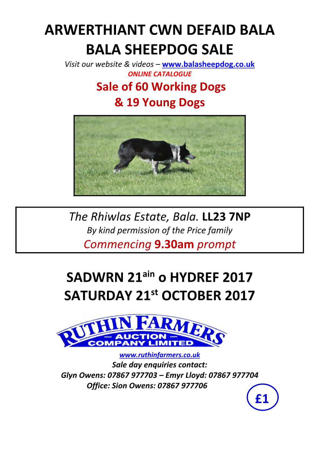 BALA BALA SHEEPDOG SALE Visit Our Website & Videos – ONLINE CATALOGUE Sale of 60 Working Dogs & 19 Young Dogs