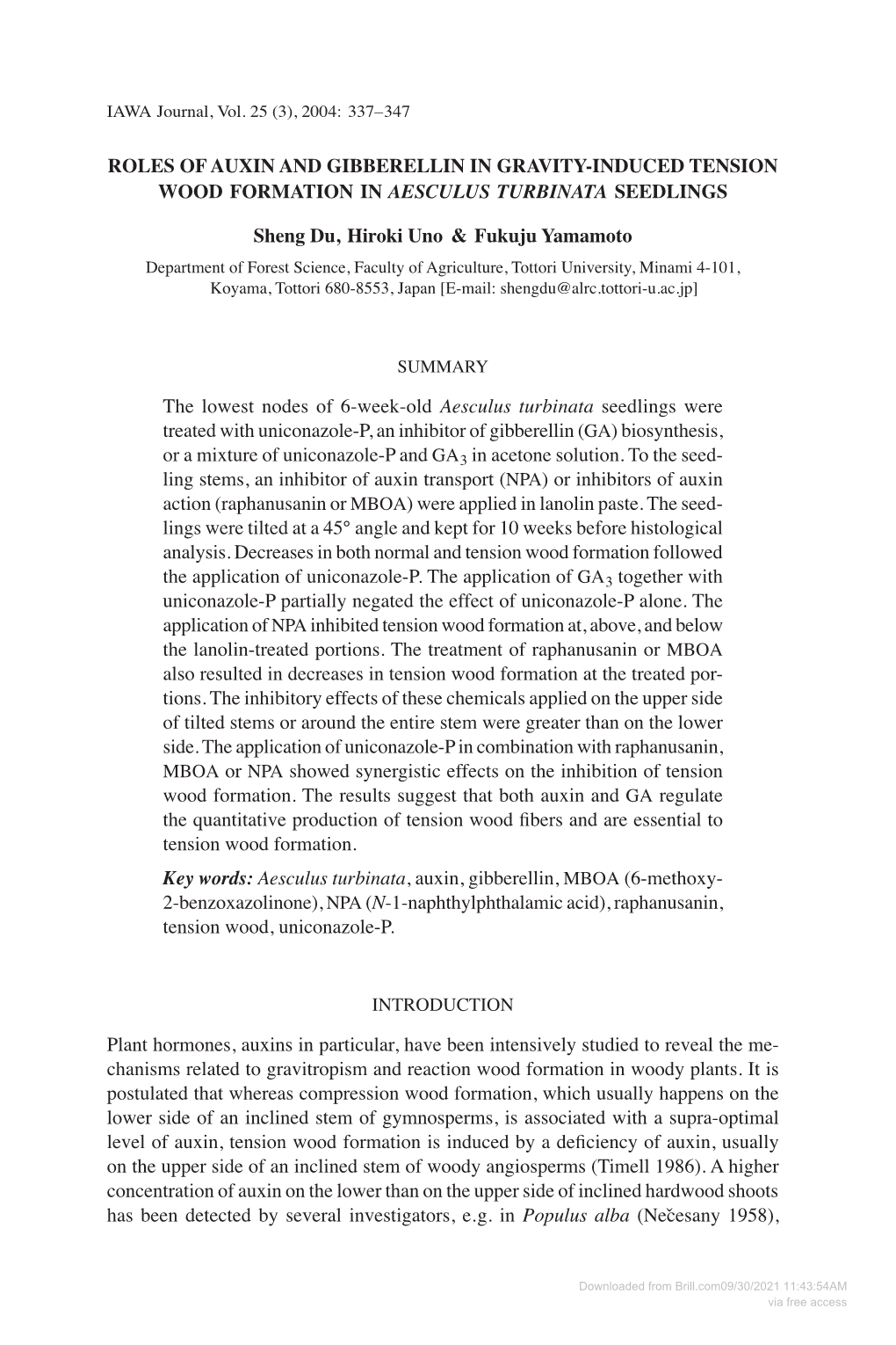 Roles of Auxin and Gibberellin in Gravity-Induced Tension Wood Formation in Aesculus Turbinata Seedlings