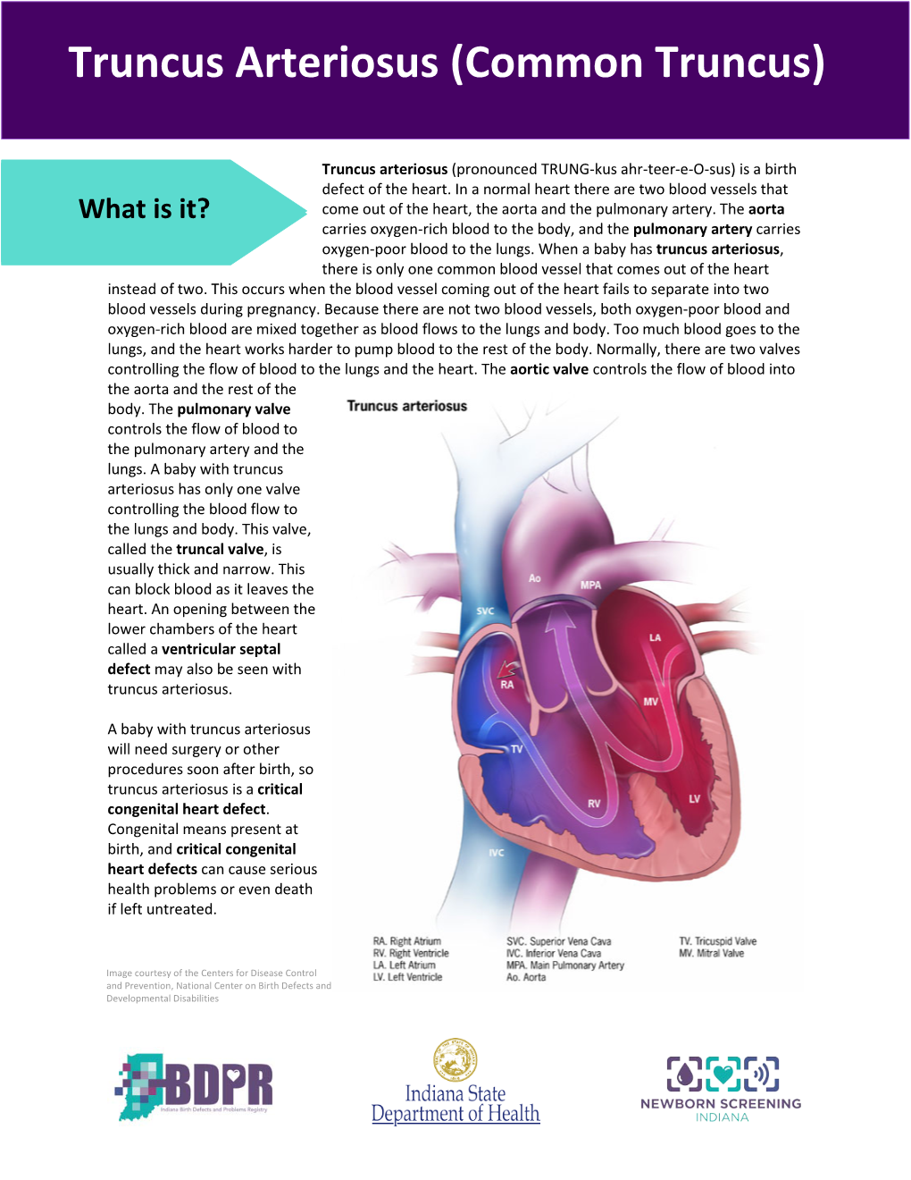 Truncus Arteriosus (Common Truncus) Truncus Arteriosus