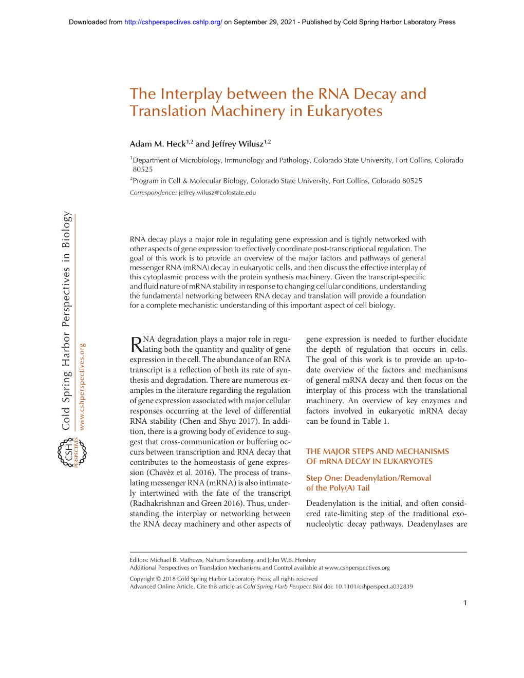 The Interplay Between the RNA Decay and Translation Machinery in Eukaryotes