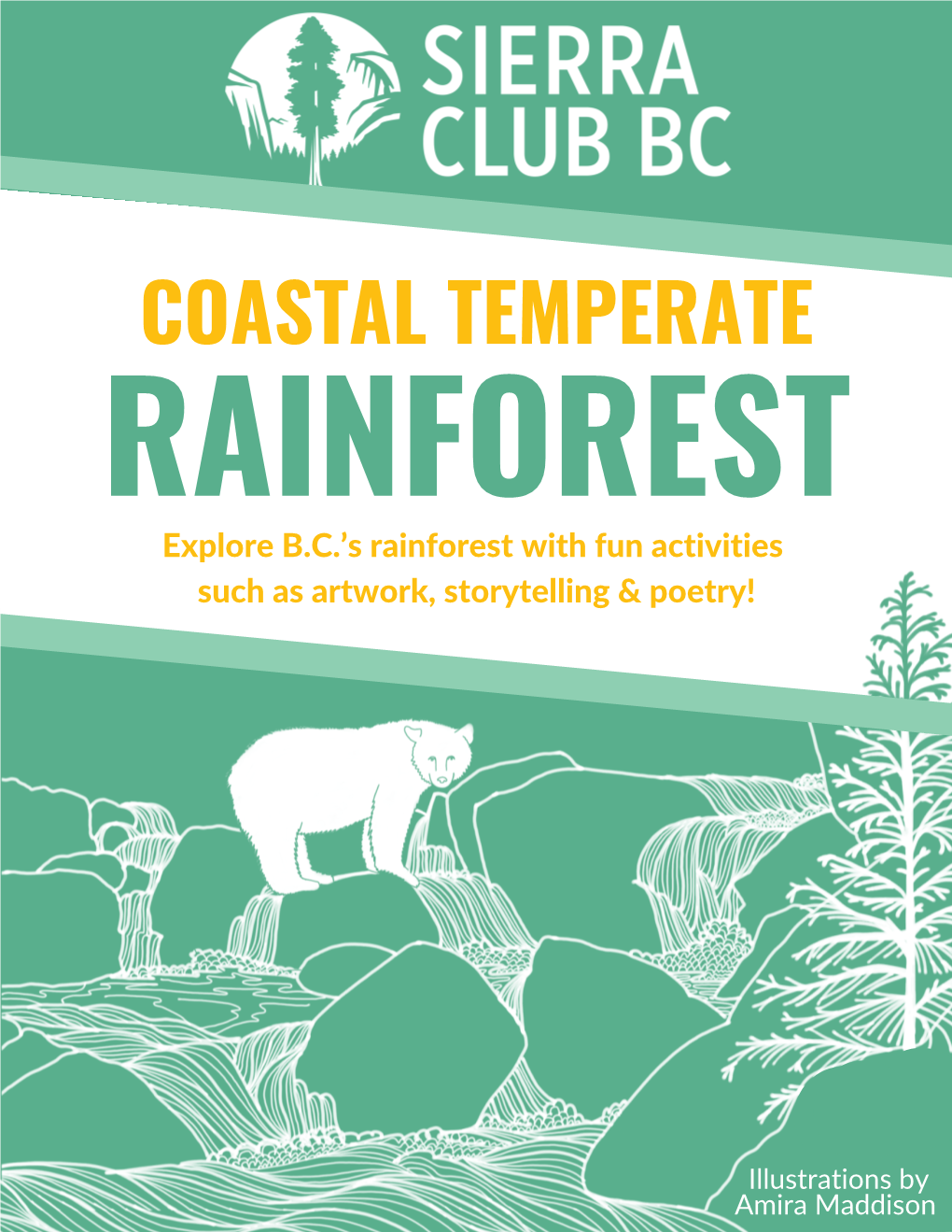 Coastal Temperate Rainforest Exploration Package