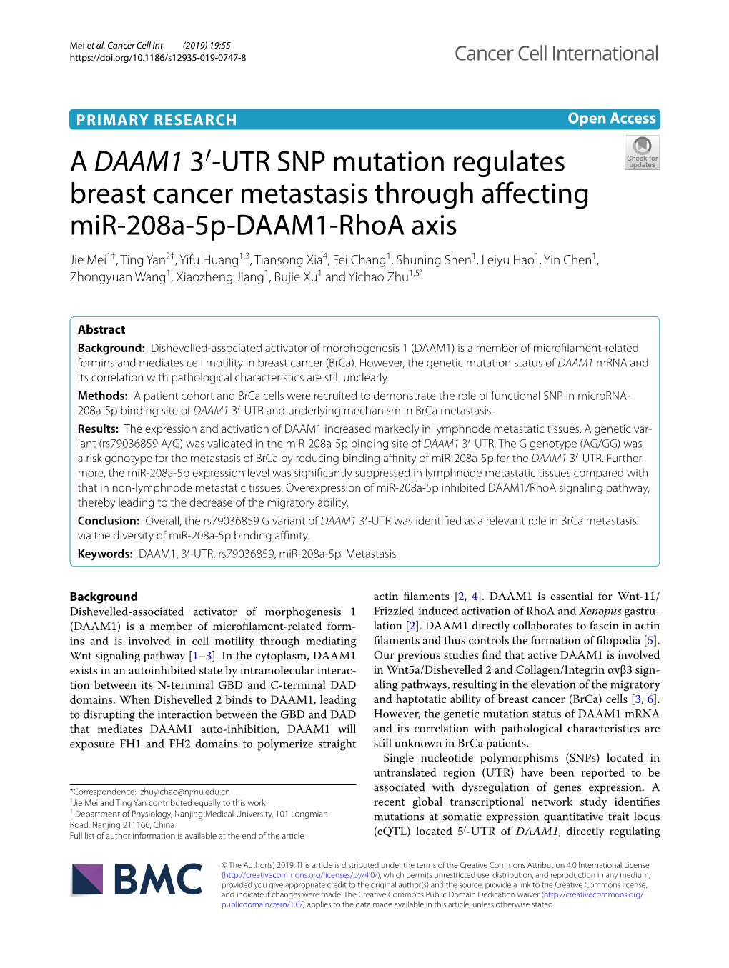 A DAAM1 3′-UTR SNP Mutation Regulates Breast Cancer Metastasis