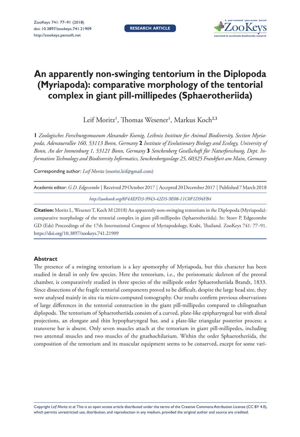 An Apparently Non-Swinging Tentorium in the Diplopoda (Myriapoda): Comparative Morphology of the Tentorial Complex in Giant Pill-Millipedes (Sphaerotheriida)