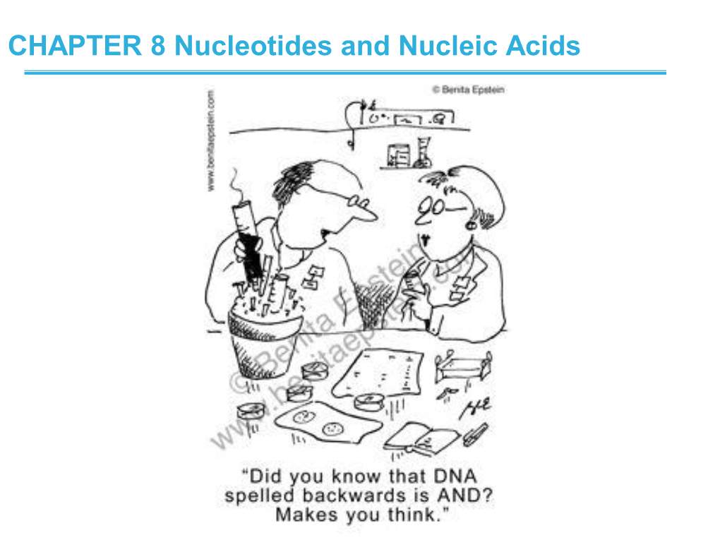 Nucleotides and Nucleic Acids