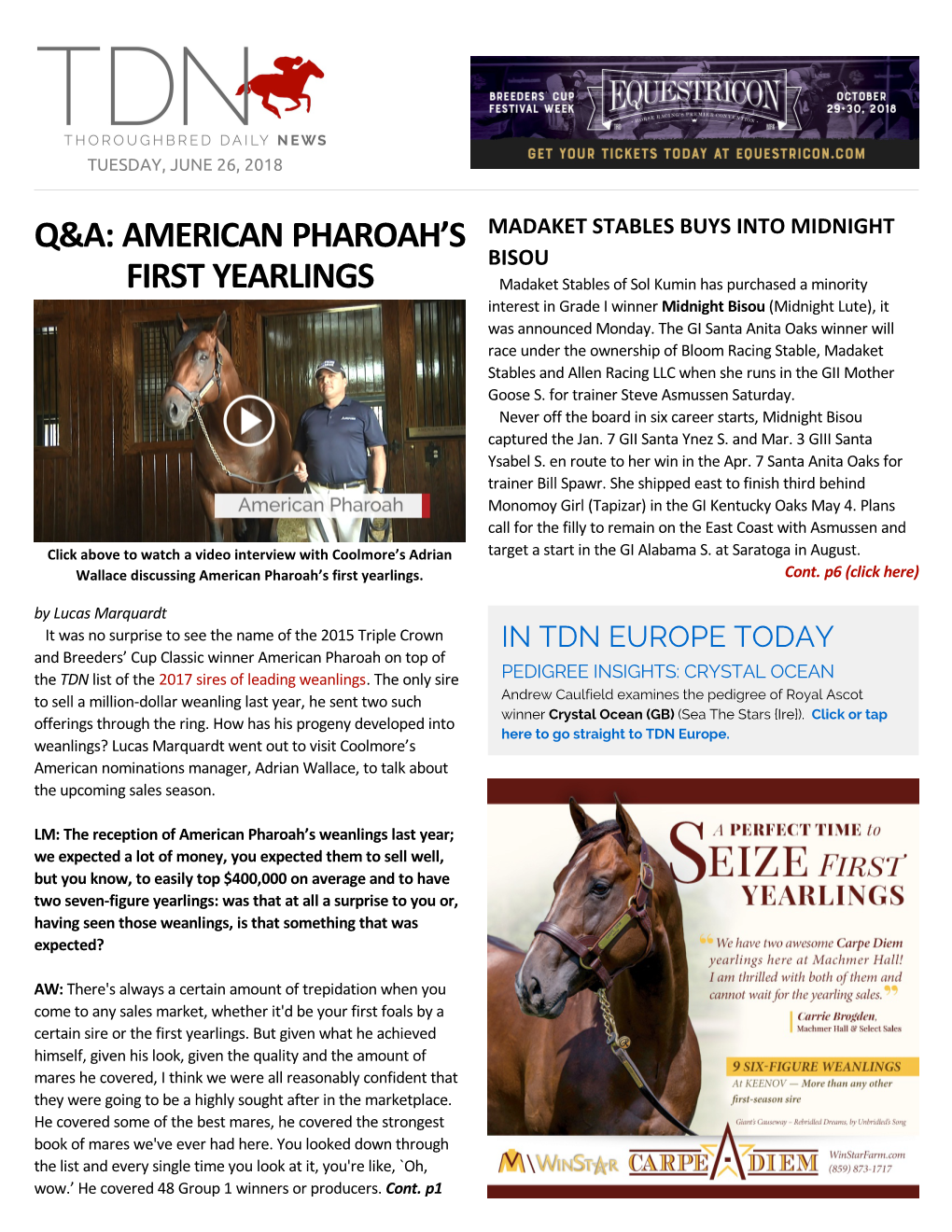 Q&A: American Pharoah's First Yearlings