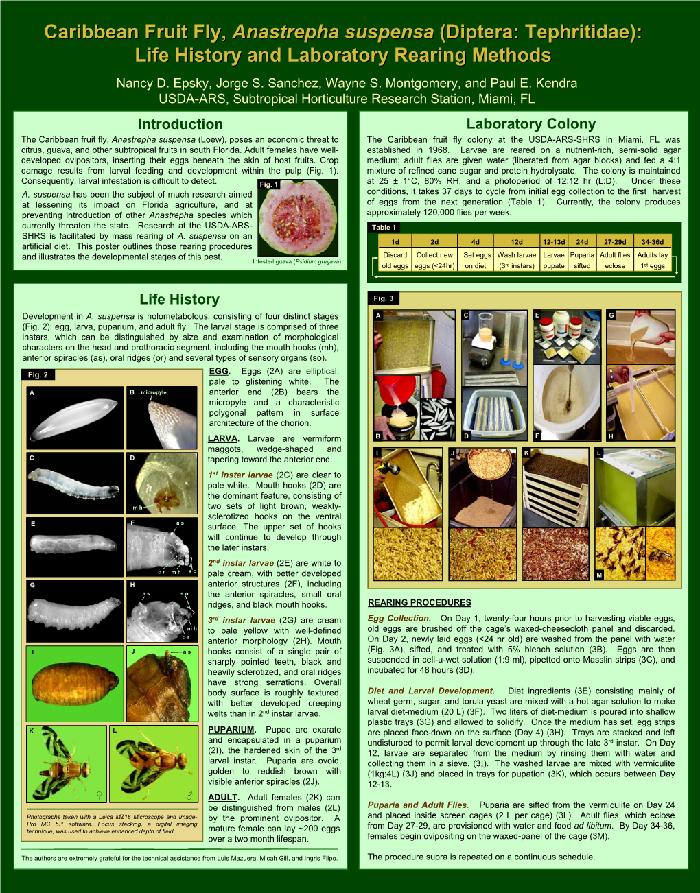 Caribbean Fruit Fly, Anastrepha Suspensa (Diptera: Tephritidae): Life History and Laboratory Rearing Methods Nancy D