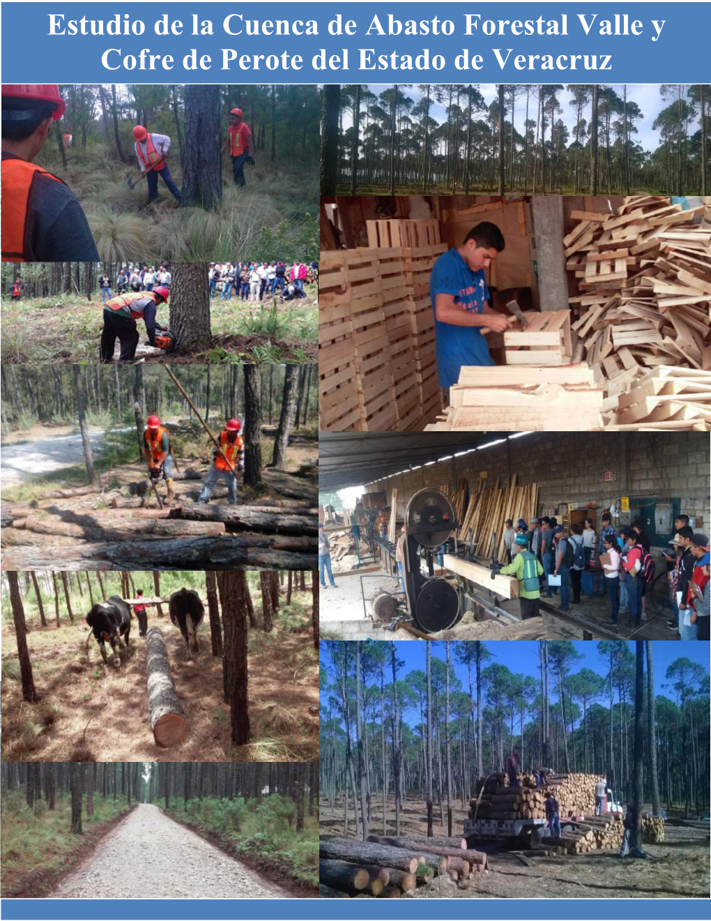 Estudio De La Cuenca De Abasto Forestal Valle Y Cofre De Perote Del Estado De Veracruz EP.2 Estudio De Cuenca De Abasto