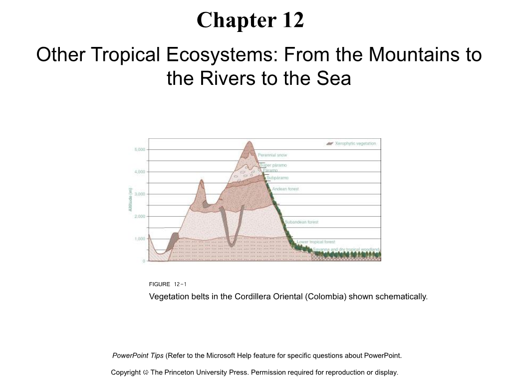 Chapter 12 Other Tropical Ecosystems: from the Mountains to the Rivers to the Sea