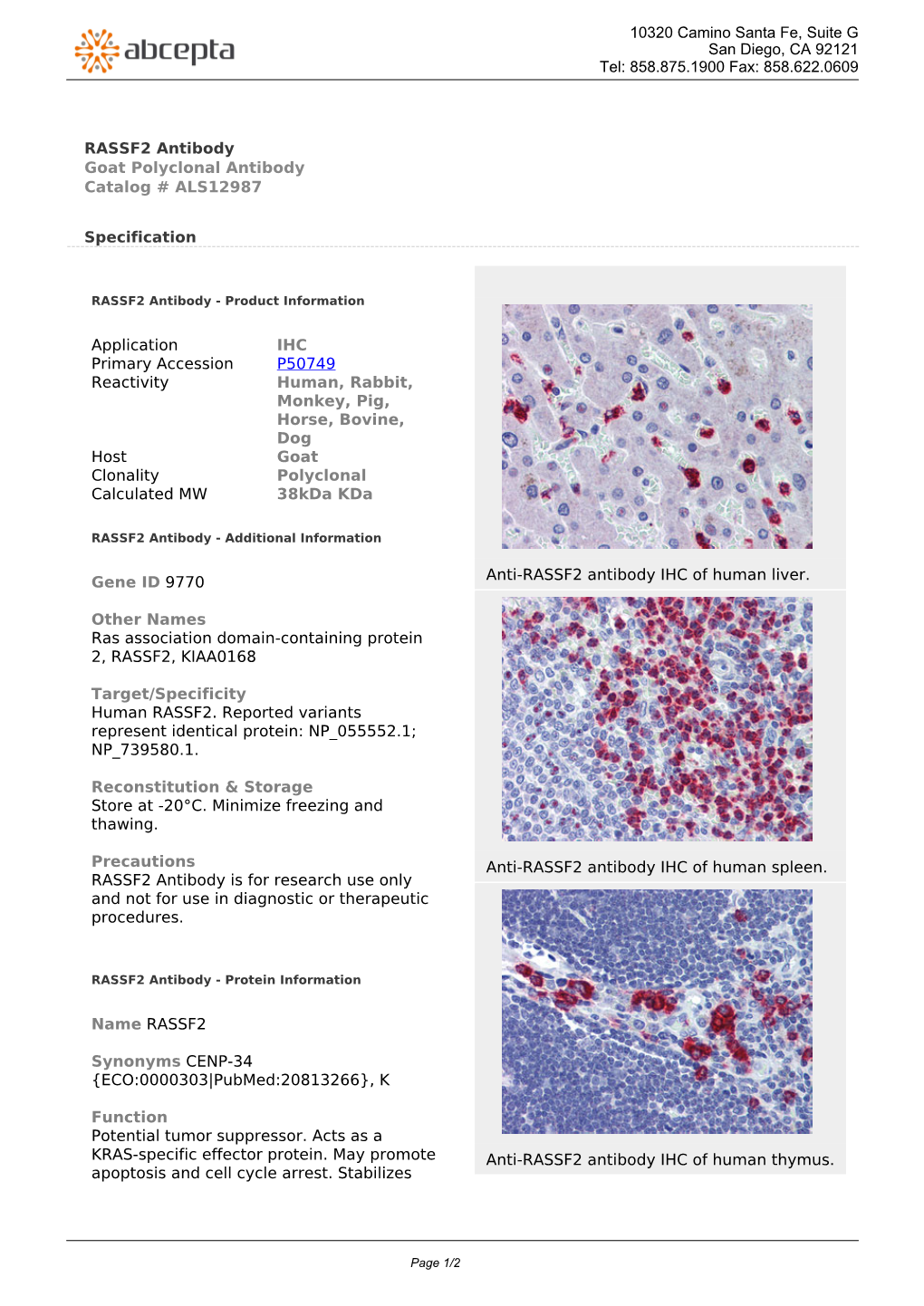 RASSF2 Antibody Goat Polyclonal Antibody Catalog # ALS12987
