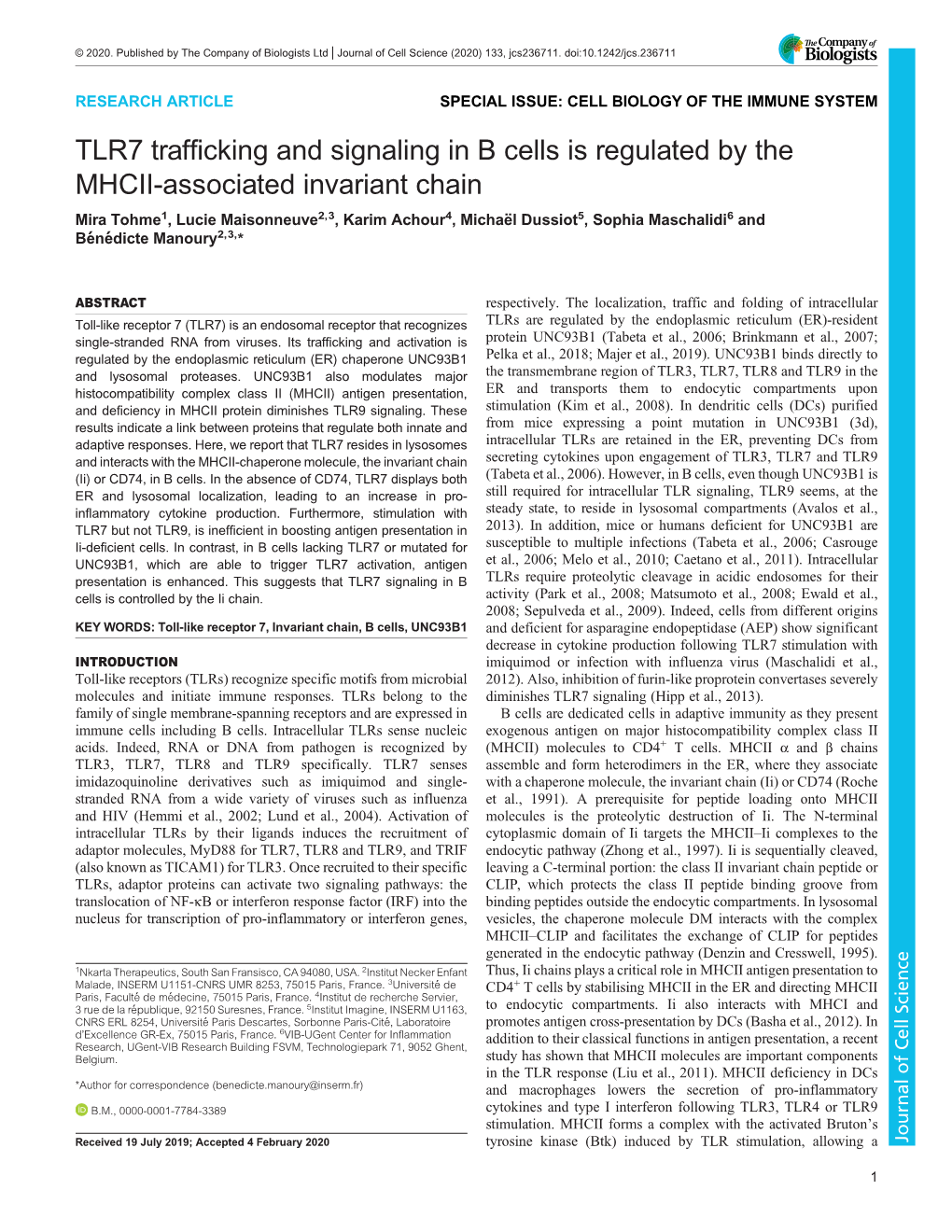 TLR7 Trafficking and Signaling in B Cells Is Regulated by the MHCII-Associated Invariant Chain