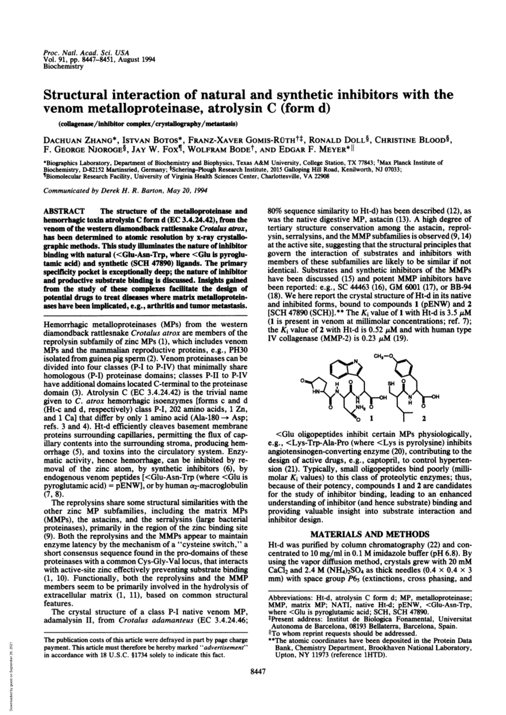 Structural Interaction of Natural and Synthetic Inhibitors with the Venom Metalloproteinase, Atrolysin C