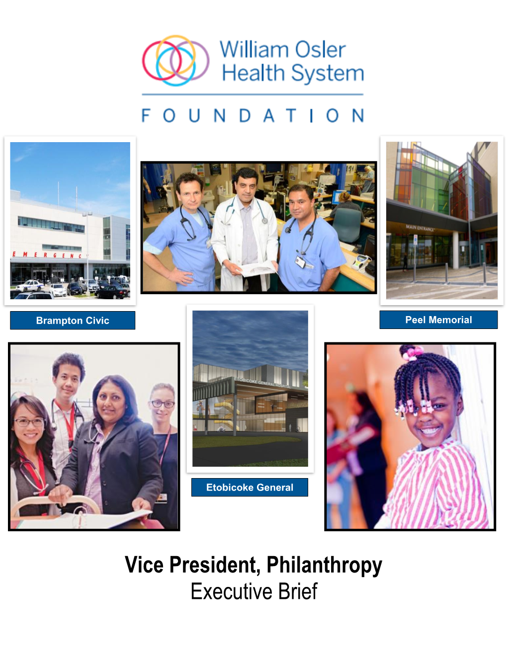 Vice President, Philanthropy Executive Brief