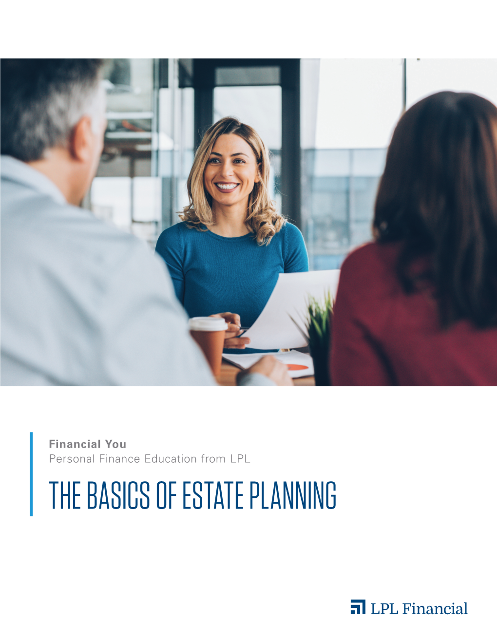 The Basics of Estate Planning the Basics of Estate Planning