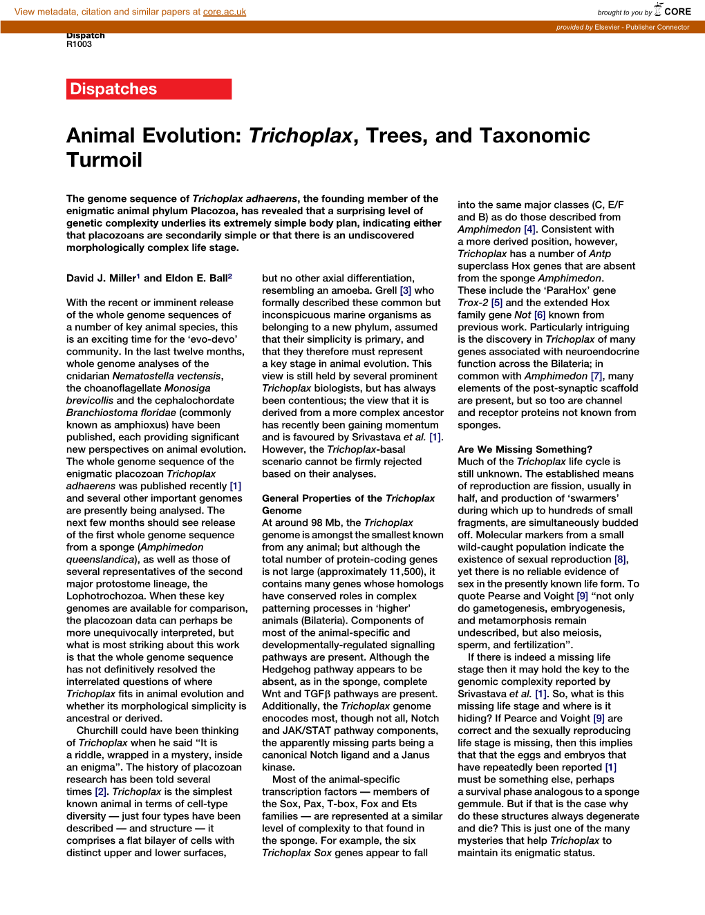 Animal Evolution: Trichoplax, Trees, and Taxonomic Turmoil