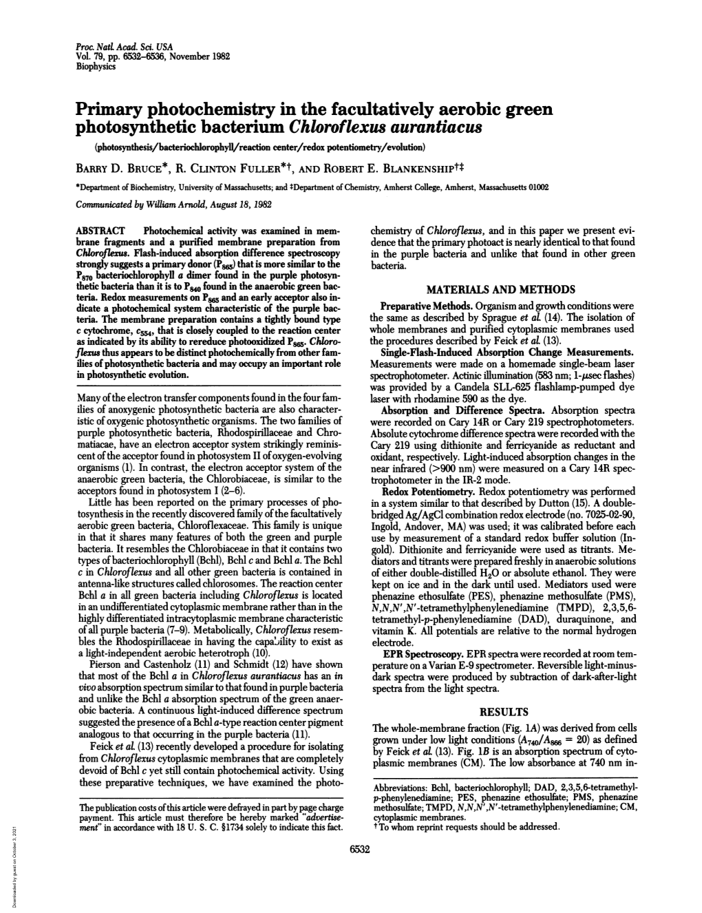 Primary Photochemistry in the Facultatively Aerobic Green