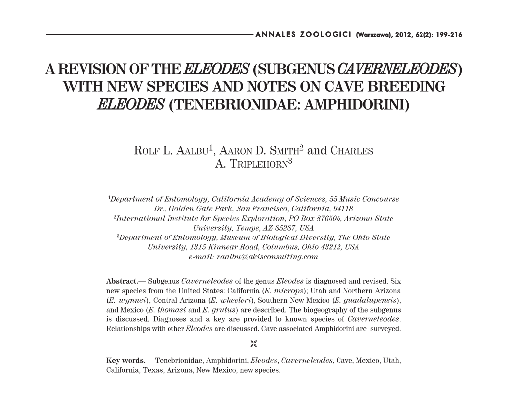 A Revision of the Eleodes (Subgenus Caverneleodes) with New Species and Notes on Cave Breeding Eleodes (Tenebrionidae: Amphidorini)