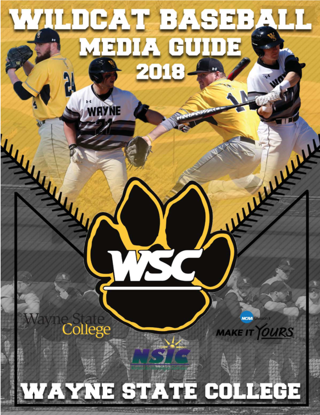 2018 Wildcat Baseball