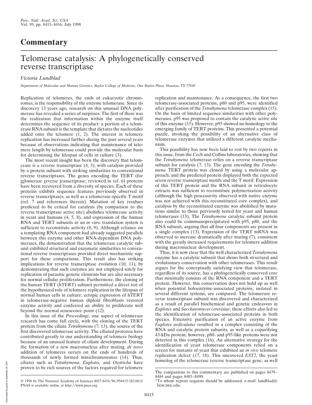 Telomerase Catalysis: a Phylogenetically Conserved Reverse Transcriptase