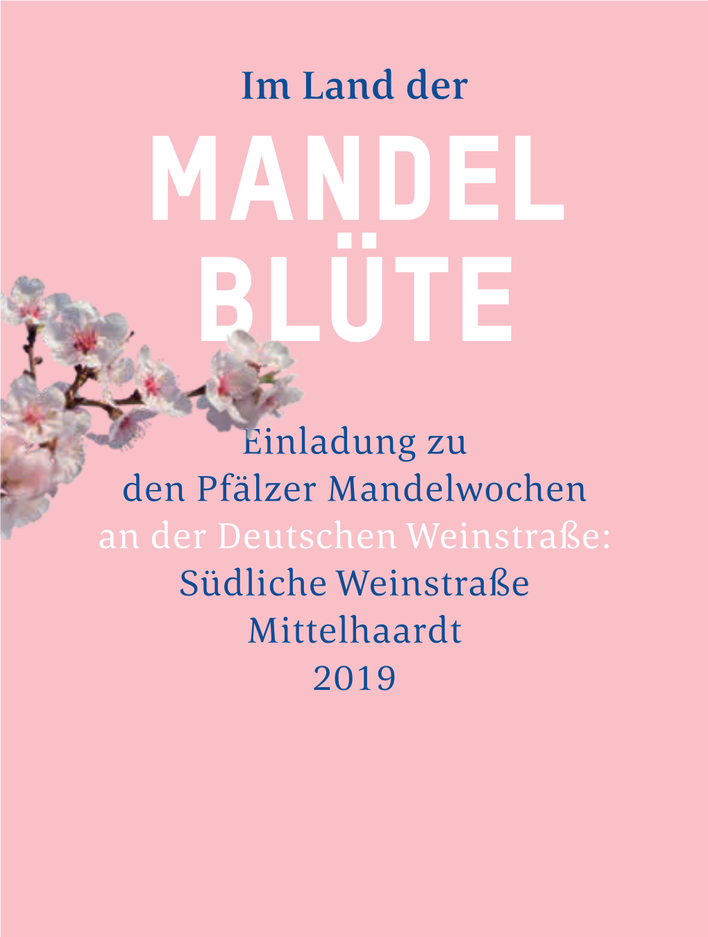 Mandel Blüte